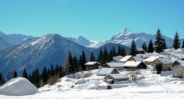 Bavarian Alpine Villas for Scenic Holidays