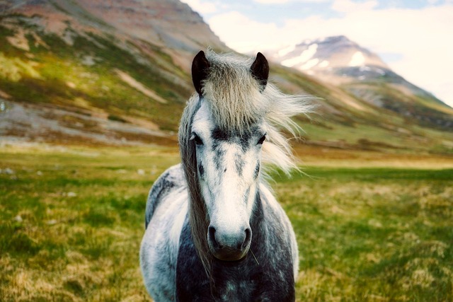 Iceland Nature Lodges for Wild Escapes
