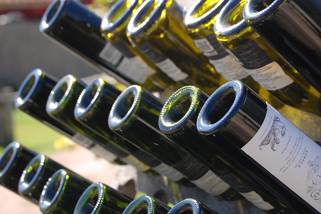 Mendoza Homestays for Wine Country
