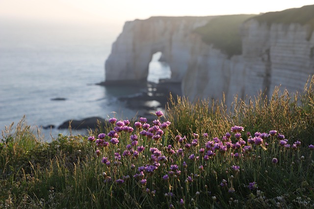 Normandy Coastal Lodges for Sea Escapes