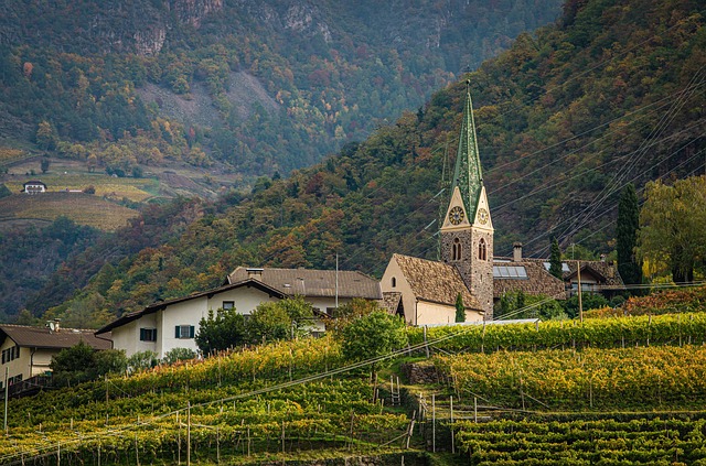 Portugal Homestays Near Scenic Vineyards