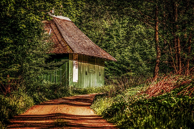 Sweden Forest Lodges for Quiet Retreats