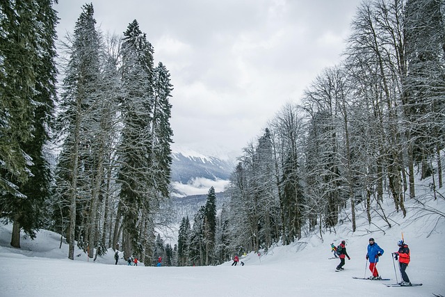 Whistler Resorts for Ski Holidays